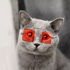 Cute Dog cat Glasses Pet Goggles Glasses Suitable For Puppy Cat Photo Props (Color: Red, shape: Square)
